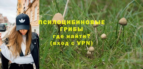 MESCALINE Гусиноозёрск