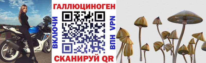 Купить где  Котово  Псилоцибиновые грибы мицелий 